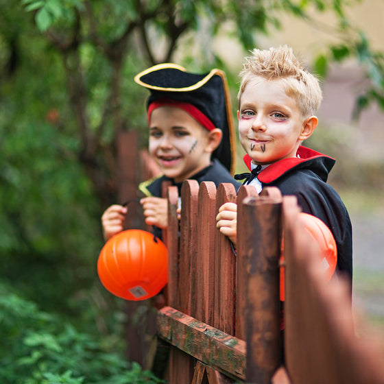 Keep the Your Gate Safe This Halloween